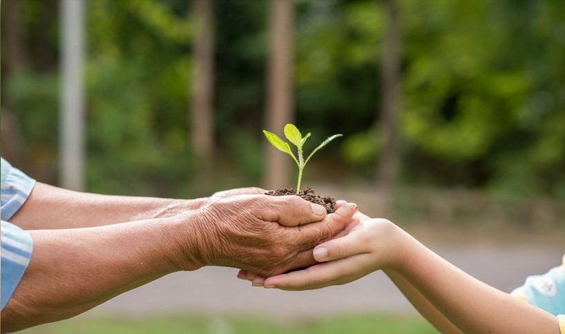 Ummed Welfare Association